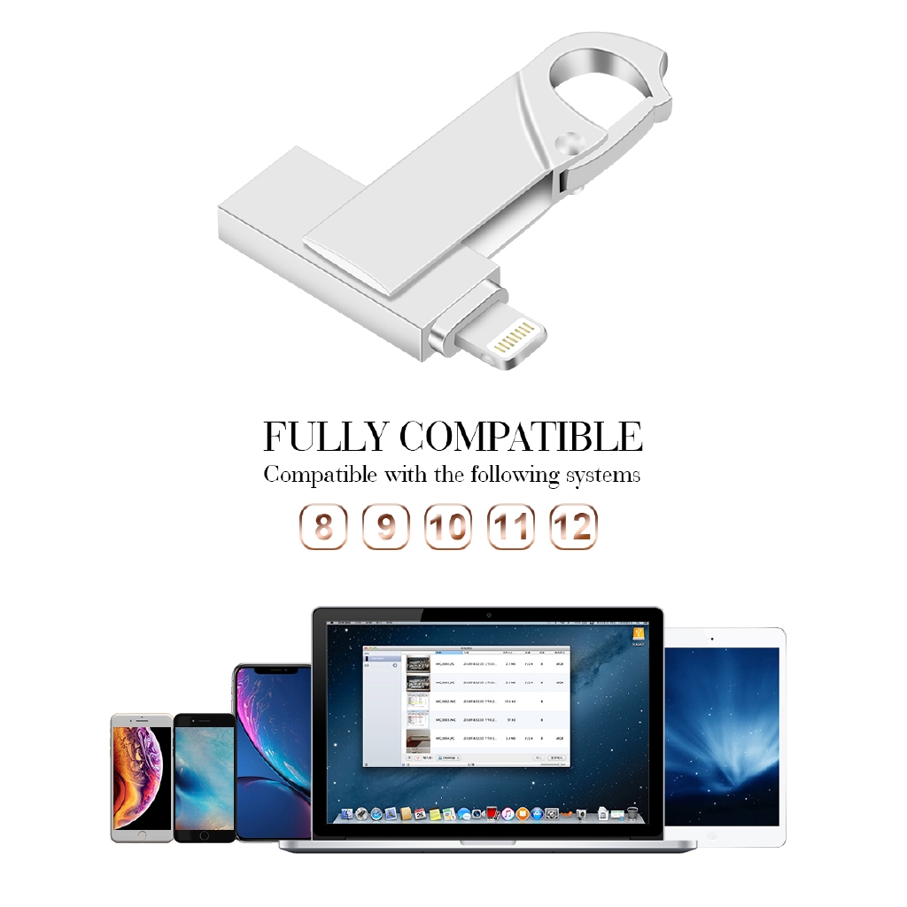 2 in 1 OTG USB Flash Drive USB2.0 512GB Pendrive for iPhone/iPad/IOS/Android/PC