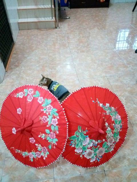 Payung Geulis Satin D 66cm-payung Tradisional  Khas Tasikmalaya