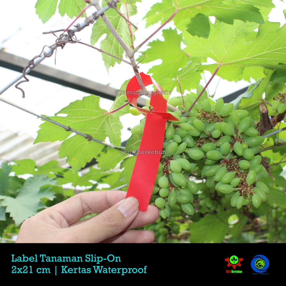 

Label Tanaman Slip On Merah 25 pcs