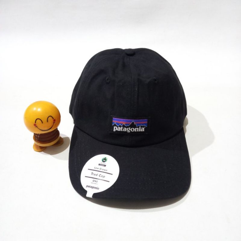 Patagonia P6 Cap