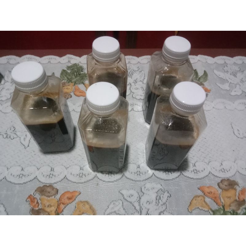 

MADU LEBAH HUTAN