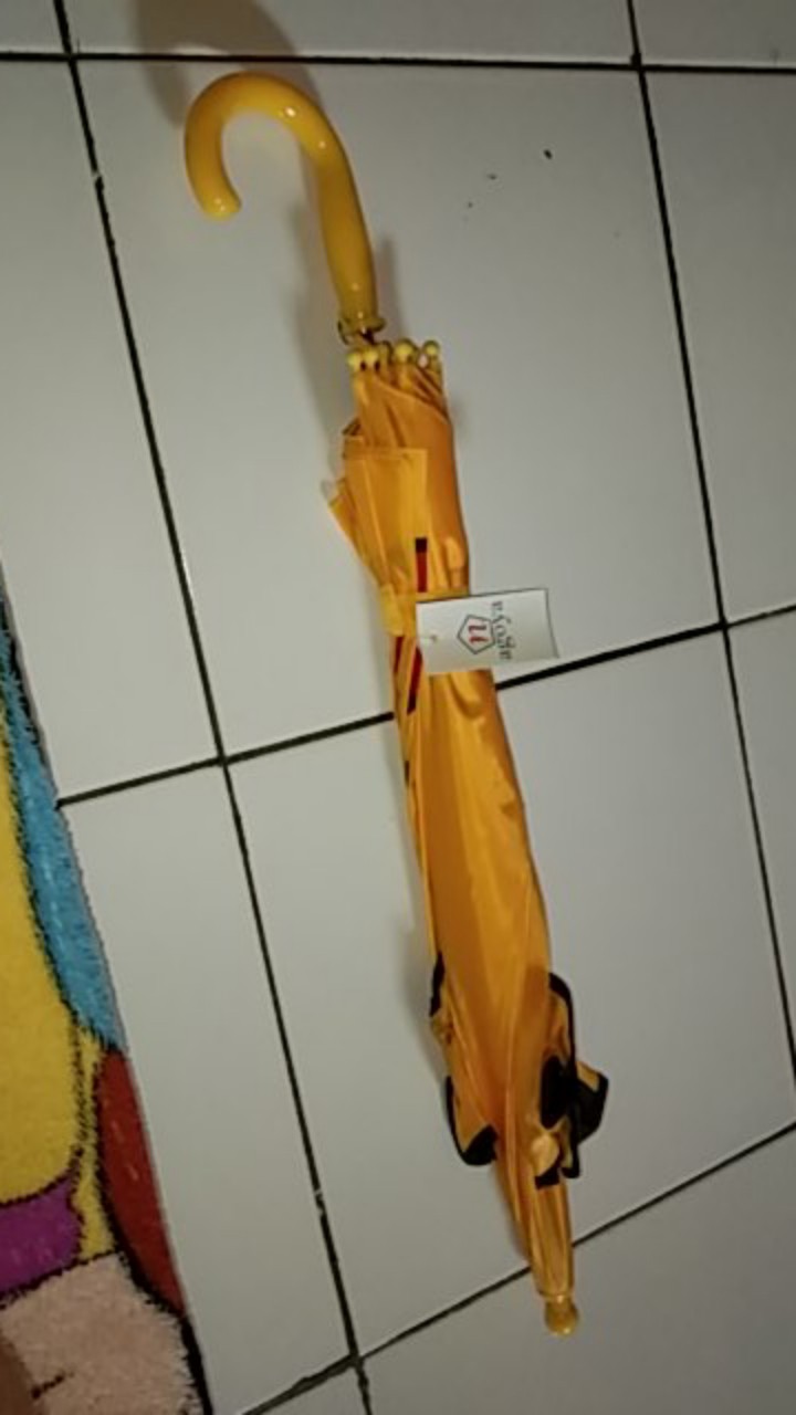 Payung Anak Kuping Jumbo Motif Animal & Kartun Mix