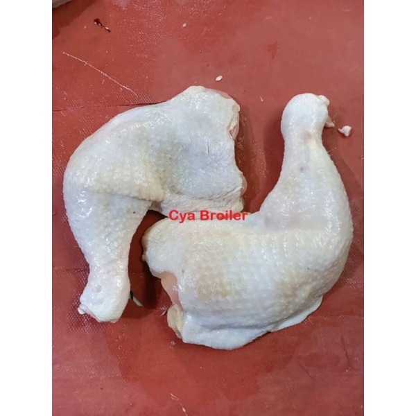 

Paha Ayam Utuh