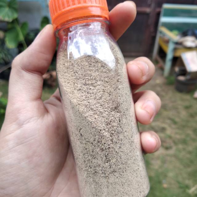 

Merica Bubuk Grade A 50 gram ASLI 100% MERICA