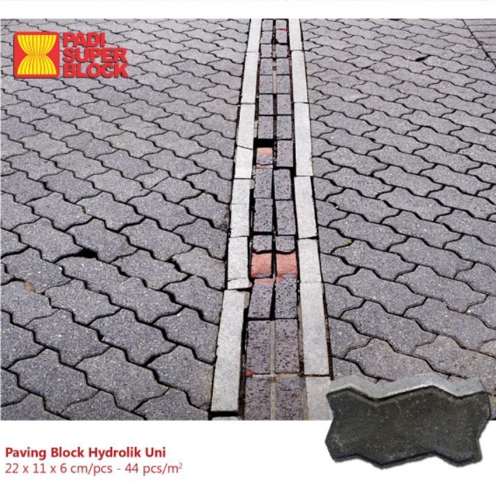 Paving block hydrolic / interpave / paving block uni/ material / padisuper / m²