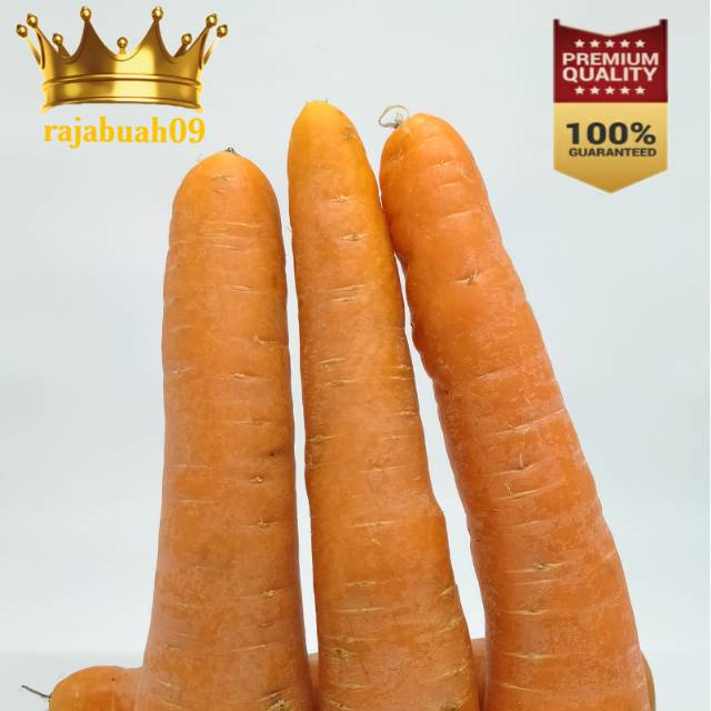 

Wortel Berastagi 1kg Fresh / Buah Wortel