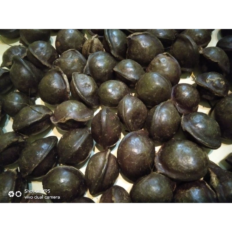 

jengkol sumatra utara 1000 gram