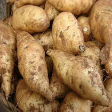 

ubi kuning 250gr - 500gr