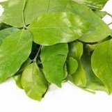 

Daun Melinjo