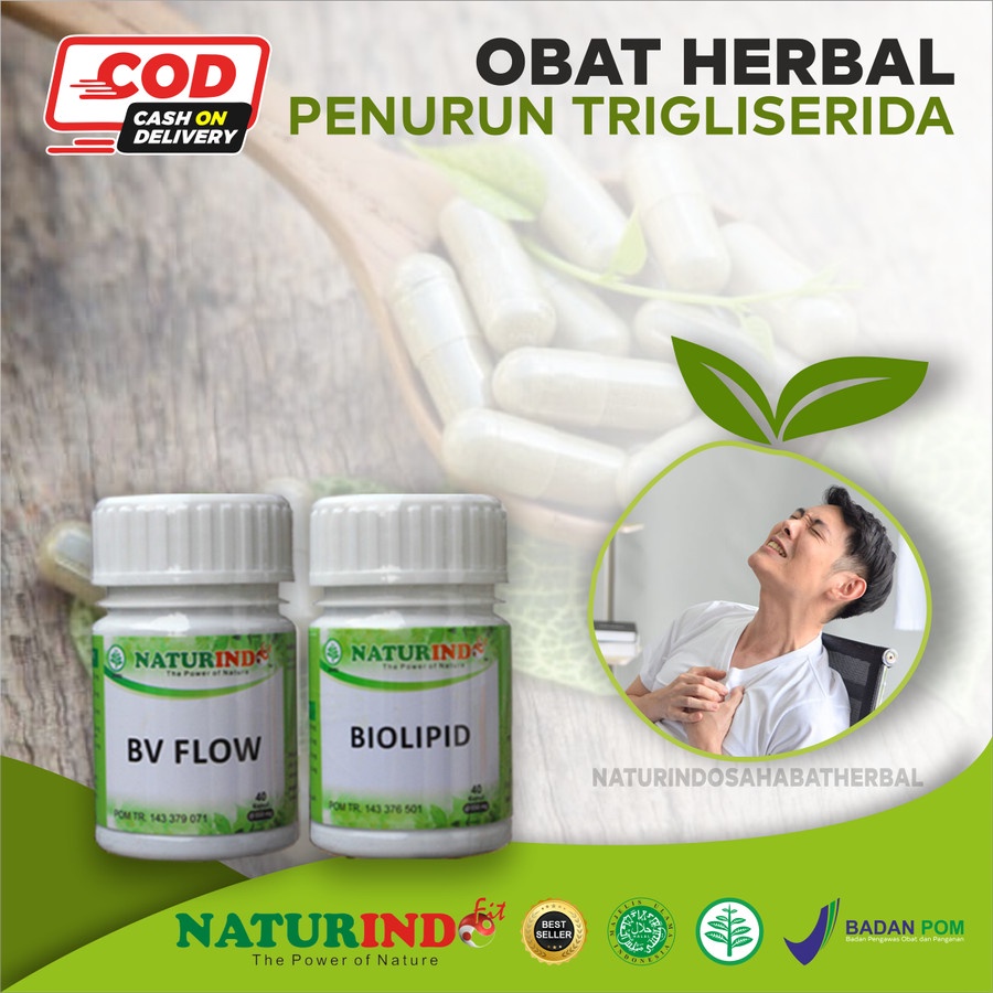 Obat Trigliserida Tinggi - Homecare24