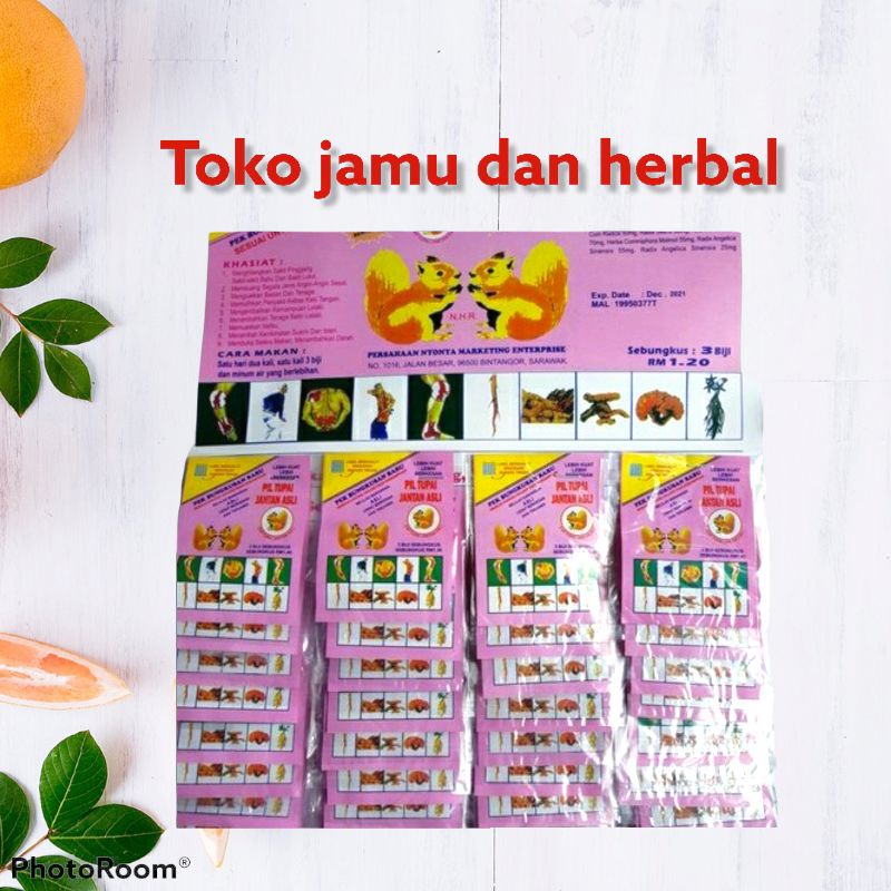kapsul pil tupai jantan original