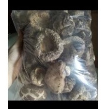 

jamur hioko / shitake kering 250gr tebal dan besar 5-8cm