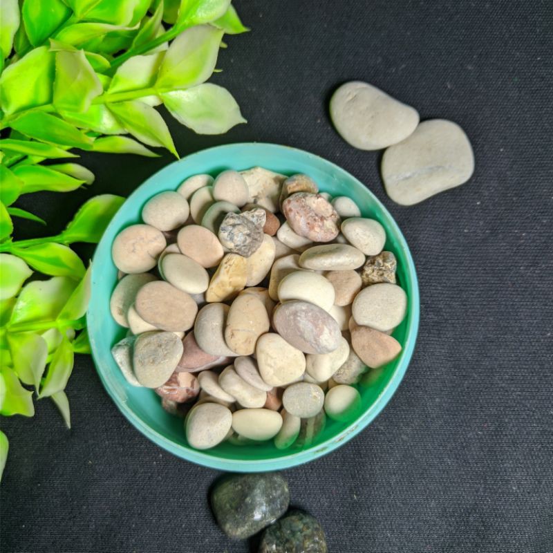 Batu Pancawarna Multicolour hiasan Taman Akuarium Aquascape Per KG