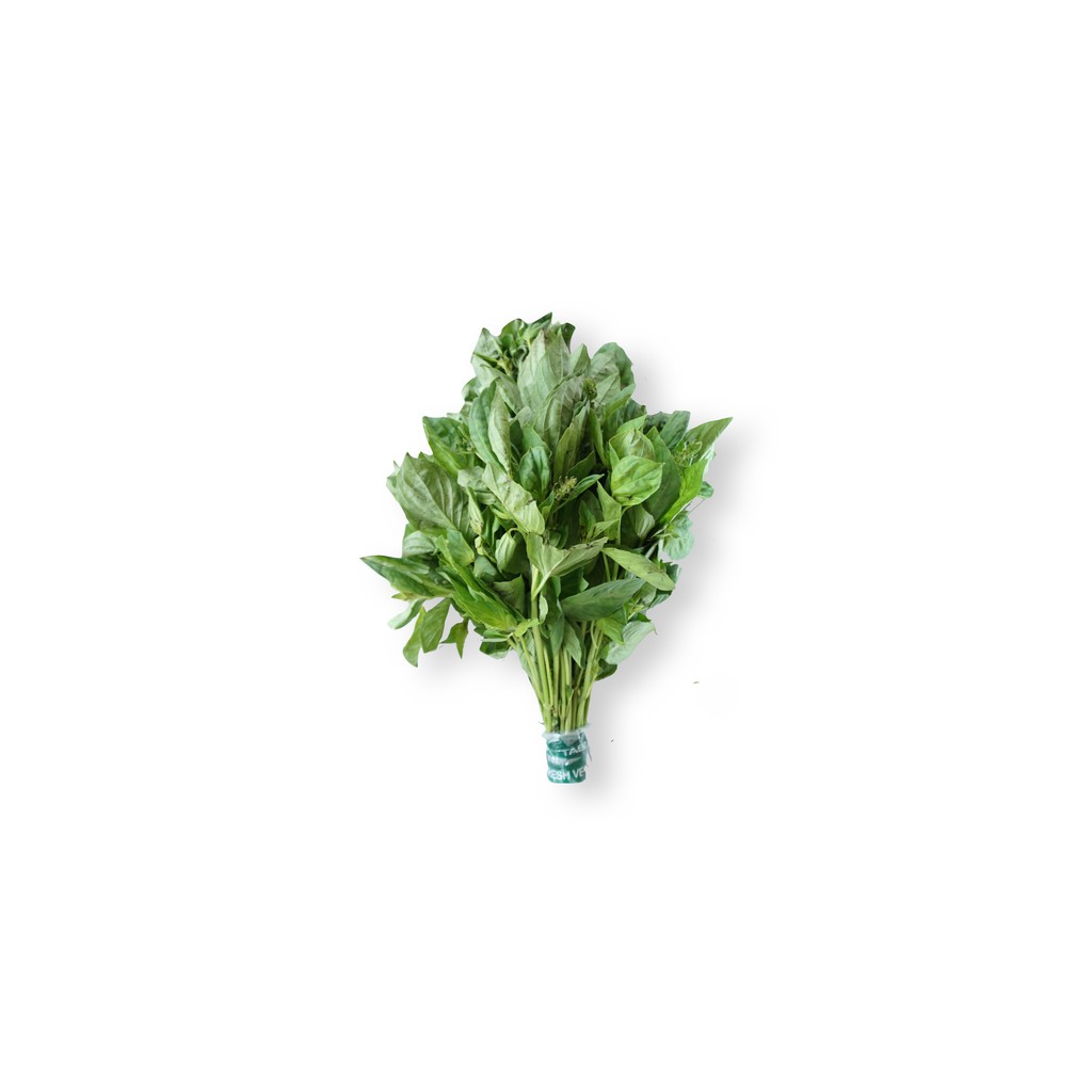 

SAYUR ORGANIK Daun Kemangi