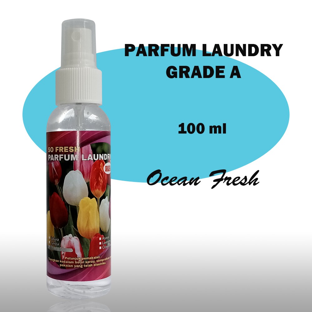 PARFUM LAUNDRY 100 ML