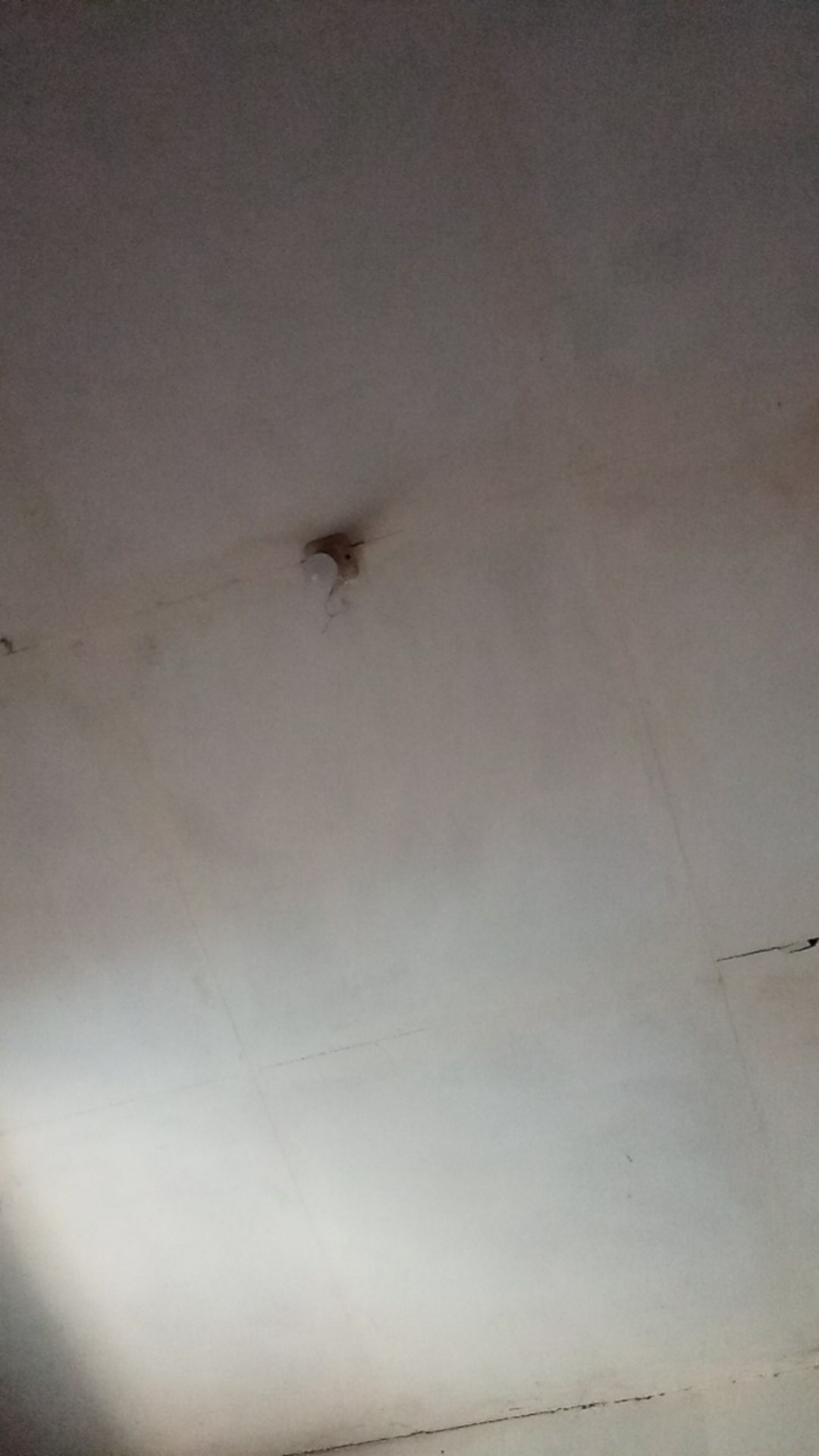 Giant Canister Ukuran 8.4 Liter