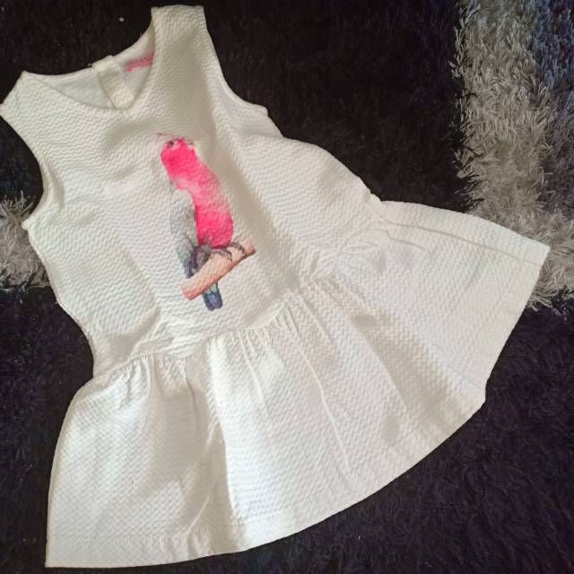Preloved Dress Gingersnaps