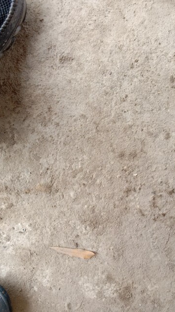 Kemeja Batik Lengan Panjang Batik  Danabrata Pria Motif Songket Hijau Kode 031 M L Xl Xxl Regular