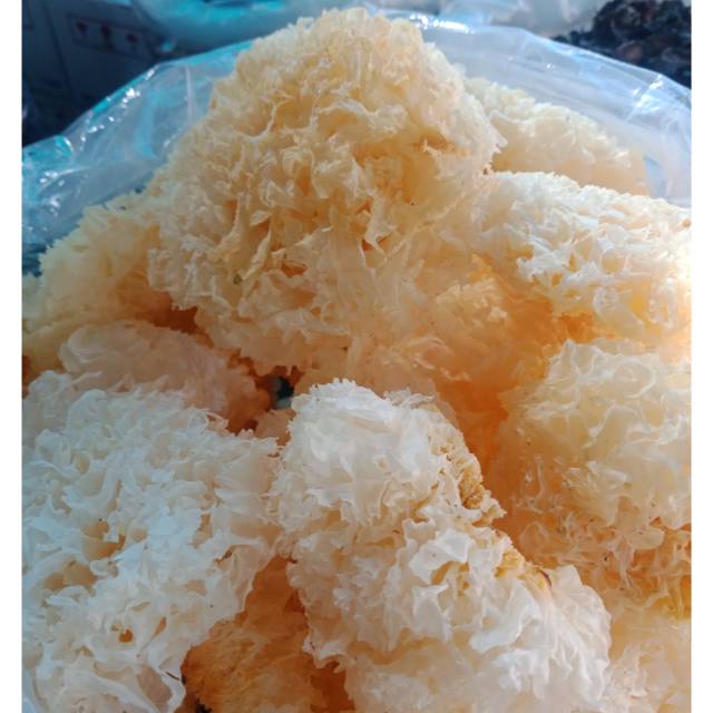 JAMUR PUTIH/JAMUR ES [ white fungus ] / SU BRAND 100gr
