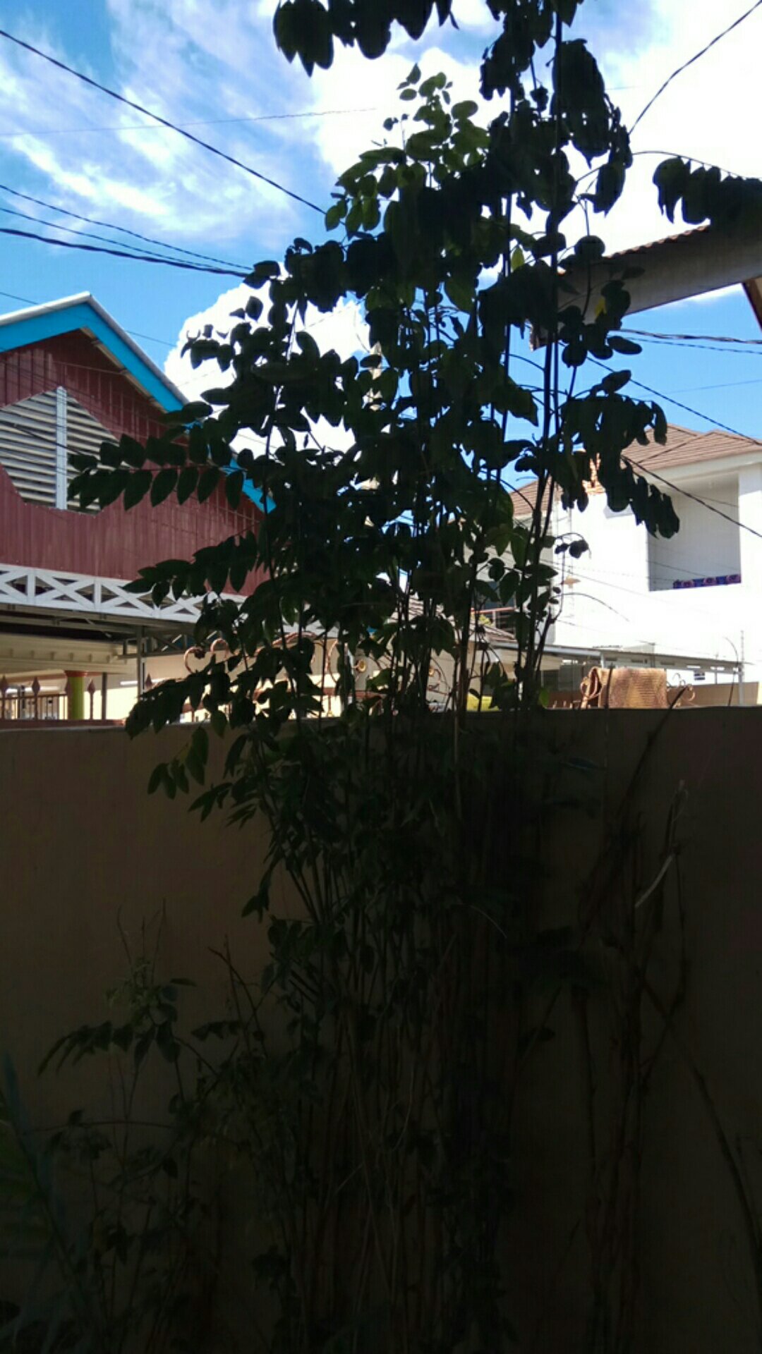 Lup Magnifier Loupe Lensa Kaca Pembesar 30x -21 Biasa Untuk Permata Jewelry