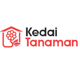 Tanaman Hias Bunga Mawar Merah Rambat Shopee Indonesia Tanaman Hias Bunga Mawar Merah Rambat Shopee Indonesia