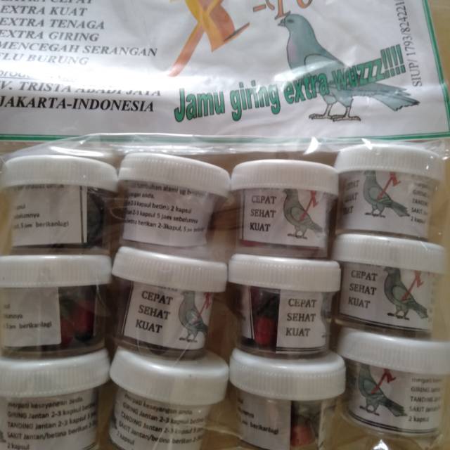 

Jamu Giring Merpati