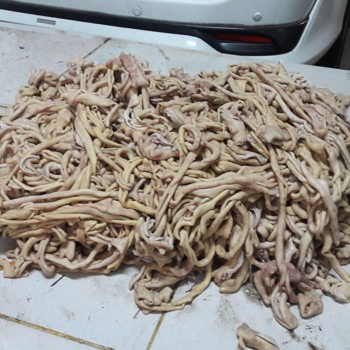 

Usus ayam fresh 500 gram Sayur Praktis Bandung