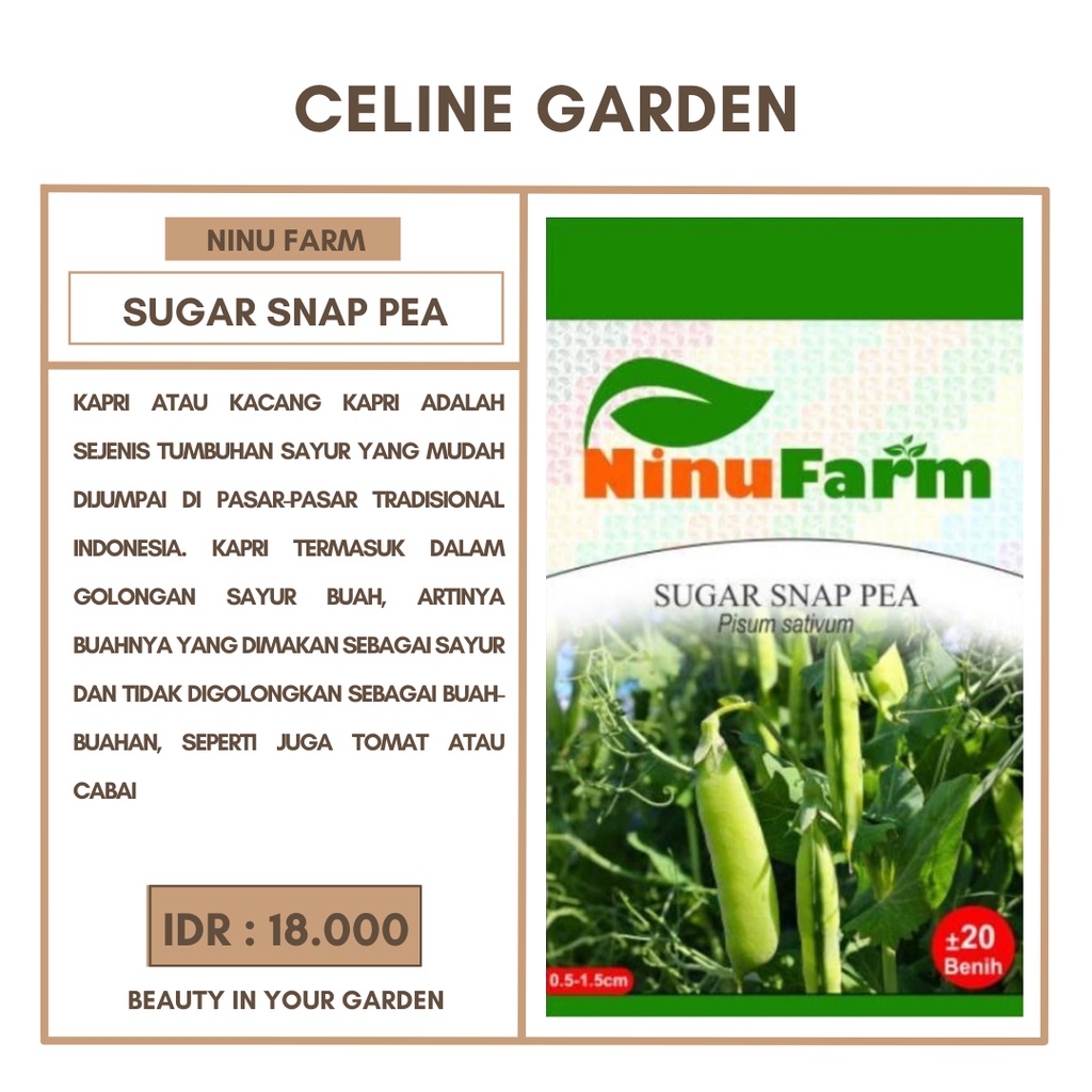 

BIBIT KAPRI MANIS / SUGAR SNAP PEA / NINUFARM / ORIGINAL PABRIK