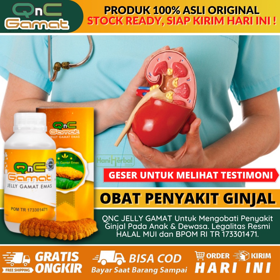 Obat Herbal Ginjal Bocor, Ginjal Bengkak, Gagal Ginjal, Batu Ginjal, Ginjal Kronik, Gangguan Ginjal