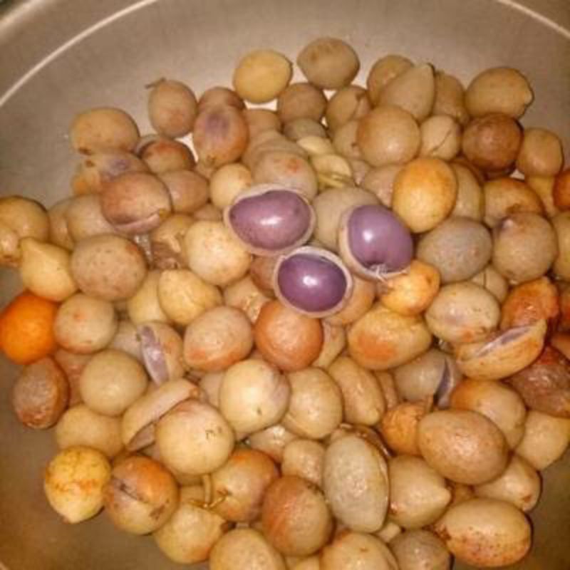 kacang polong Bogor mentah 1kg