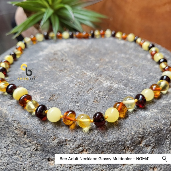 Kalung Amber Dewasa Premium Glossy Multicolor 46-57cm NGM41