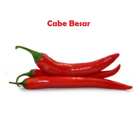 Benih Cabe Merah Besar Super