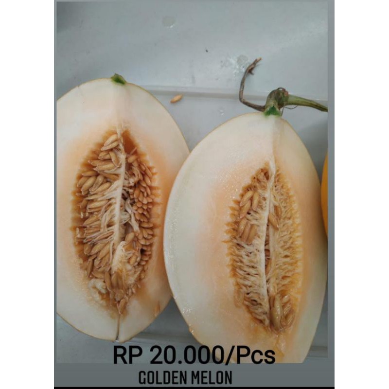 

Golden Melon