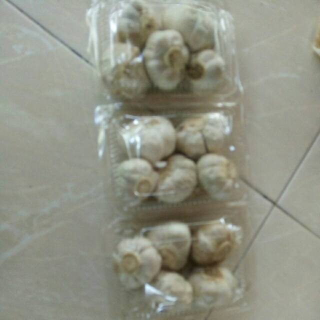 

Hbc bawang hitam