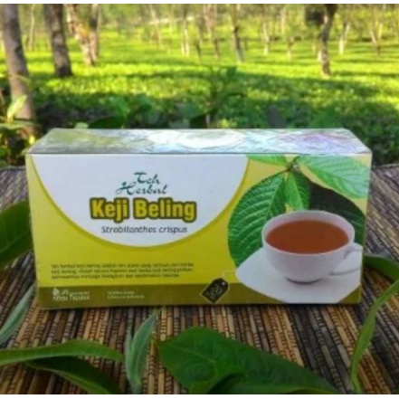 

Herbal Mengobati BATU GINJAL Dan Melancarkan Buang Air Kecil Dengan Teh Keji Beling Alami Halal.