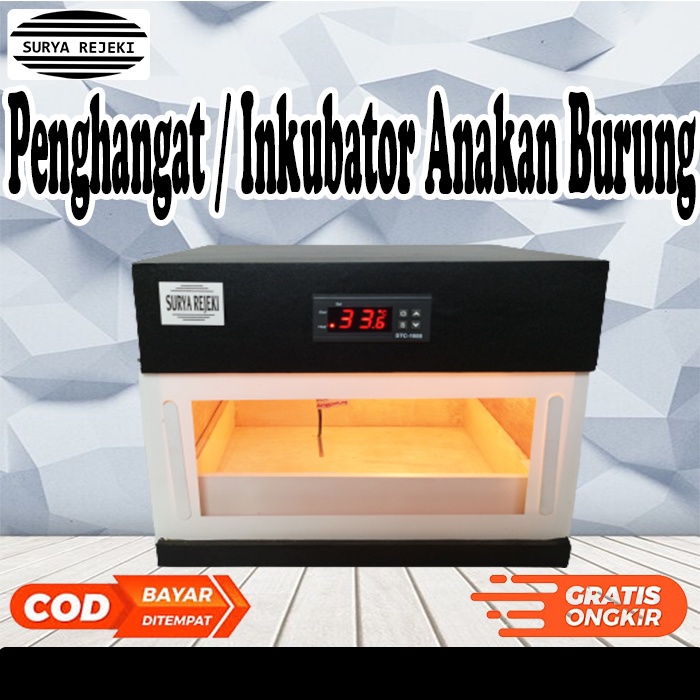 penghangat anakan burung inkubator penghangat anakan burung