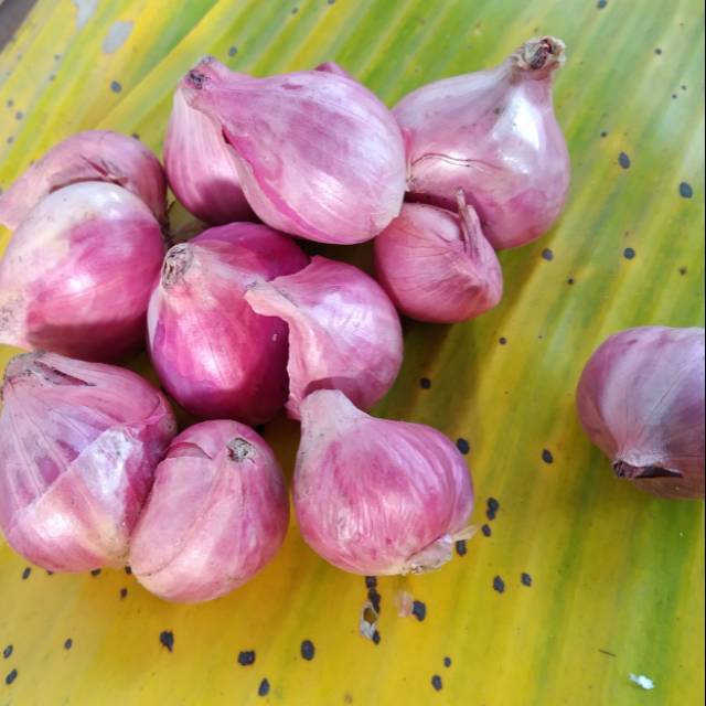 

Bawang Merah Kualitas Super 1 kg
