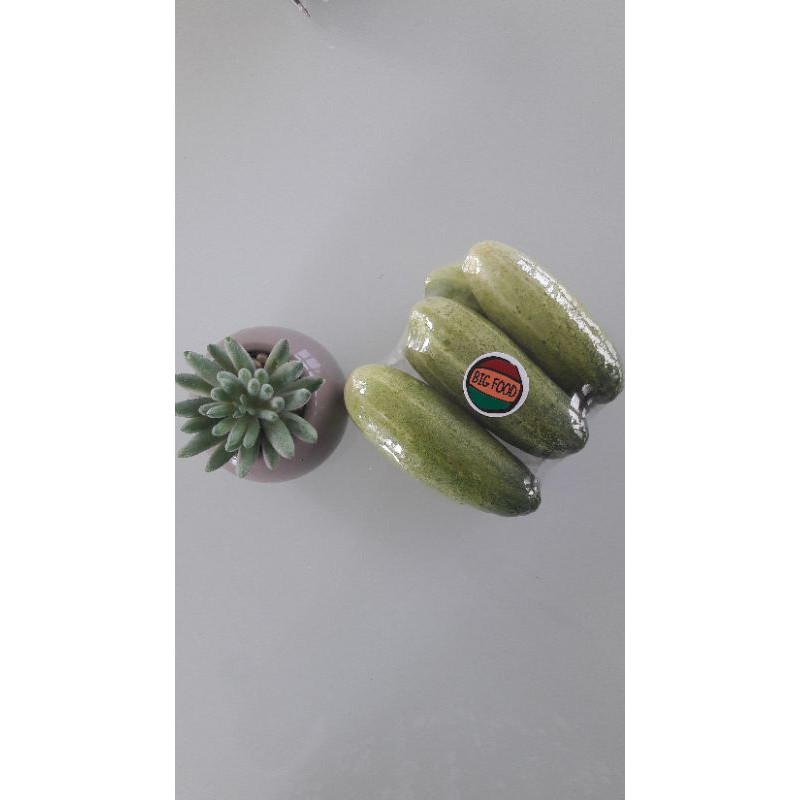 

TIMUN ACAR 500 gram