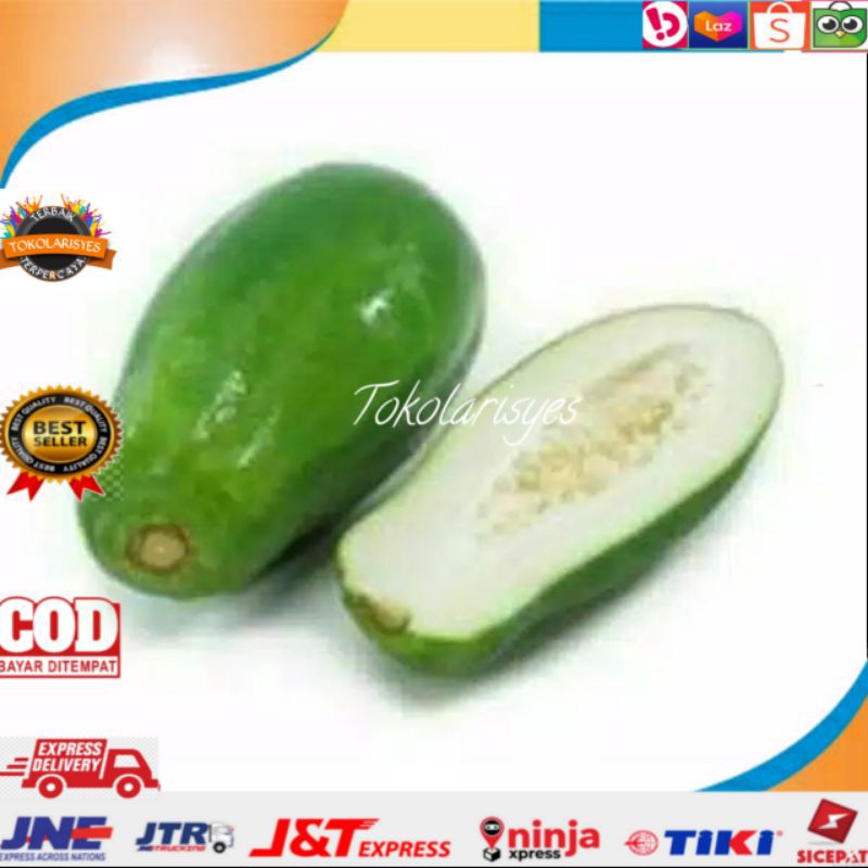 

pepaya muda 500 gram
