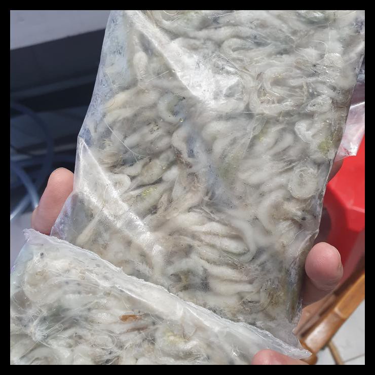 

PROMO udang beku buat arwana dan ikan predator