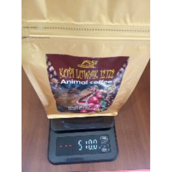 kopi luwak arabica kintamani