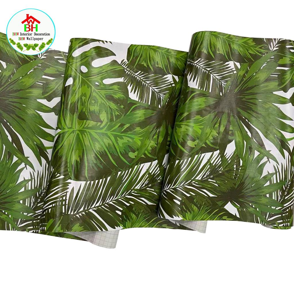 Wallpaper Dinding Daun Keladi / Janda Bolong 10m/ 8.4m x 45cm