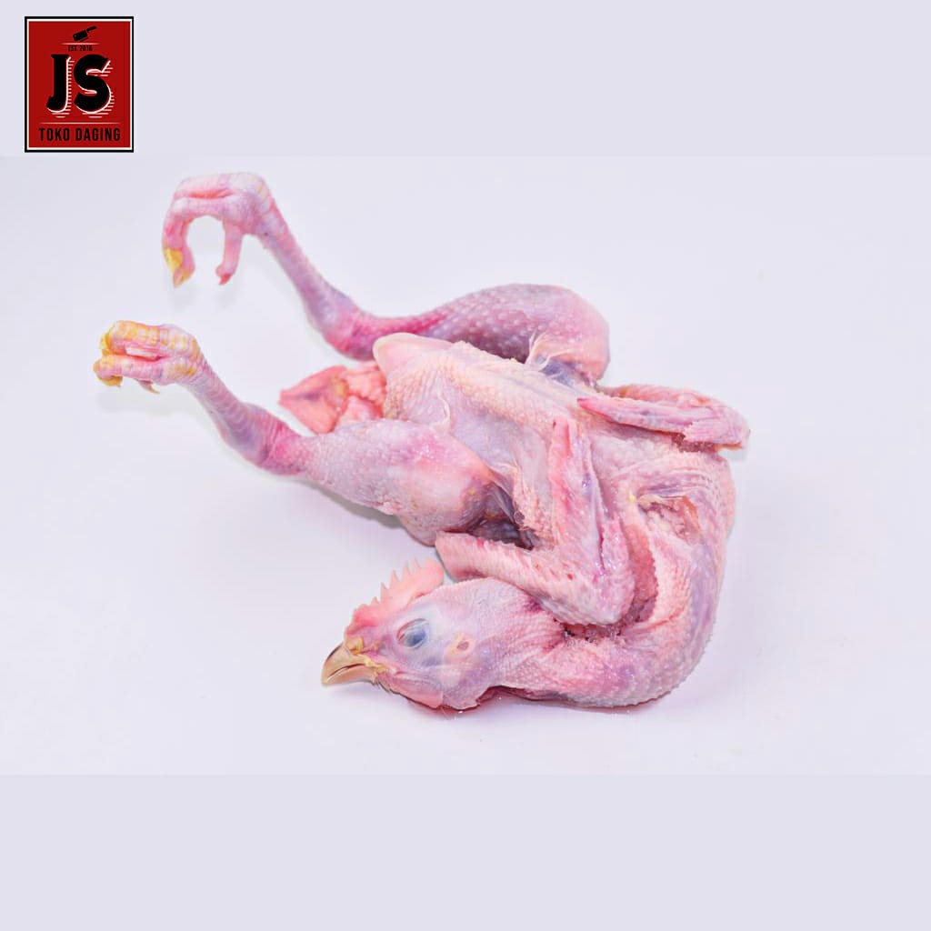 

Ayam Pejantann / Halal