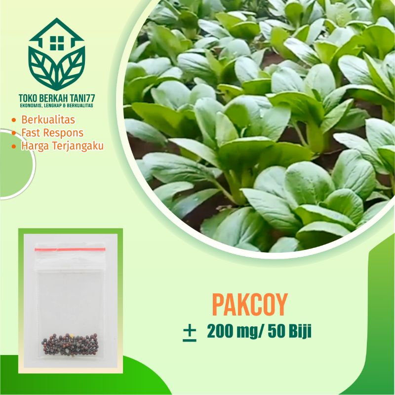 BENIH SAYURAN UNGGUL TERLENGKAP TERJANGKAU BIBIT KUBIS TOMAT SAWI TERONG CABE BUNCIS BAYAM KANGKUNG-Pakcoy