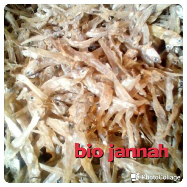 

ikan teri tawar 100gr