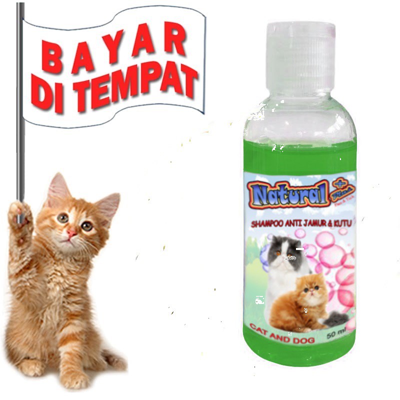 SAMPO KUCING MURAH NATURAL PLUS SHAMPO KUCING ANTI KUTU JAMUR AMPUH