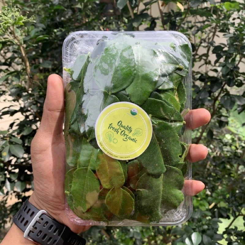 

Daun jeruk organik
