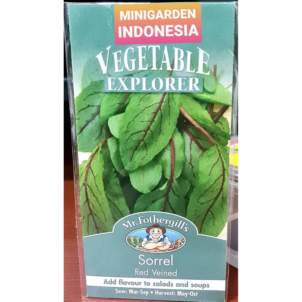 Benih herbal  SORREL RED VENIED PACK 100 BIJI bibit sayur herbal import f1 Mr Fothergills