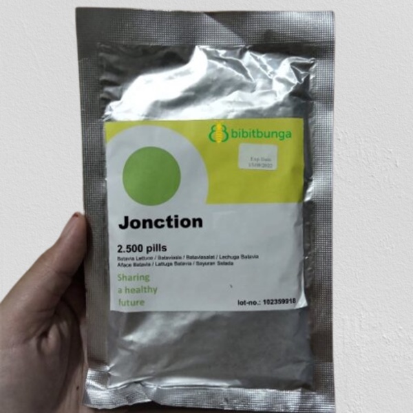 Benih Bibit RZ Batavia Selada Jonction 2500 Biji Junction Rijk Zwaan