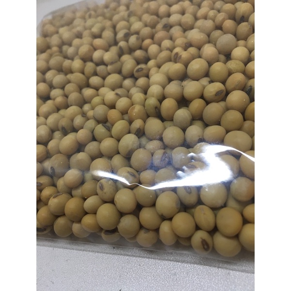 

kacang kedelai 250gr